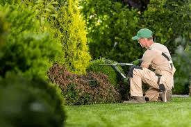 Landscaping